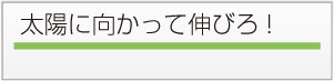 太陽に向かって伸びろ