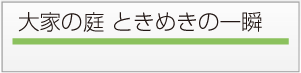 大家の庭ときめきの一瞬