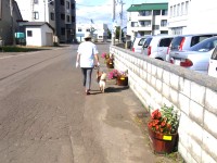 役場を右に見ながら、北側に