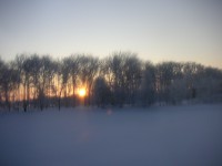 雪原の朝焼け