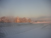 雪埋むビニールハウスの支柱