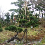 池に浸かって丸太を立てました