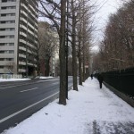 すっかり雪の溶けた車道と雪の歩道