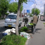 雑草は回収して堆肥に