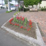 ポケットパークの花壇完成