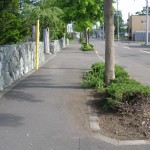 すっきりした白樺町内会の街路