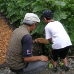 慎重に打ち込みます