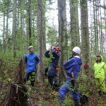 樹高や距離の確認