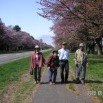 2009年5月.静内の桜