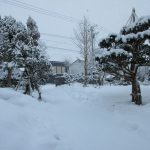 歩道も雪に覆われて