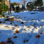 落葉の上にどっと雪