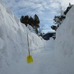 門までの通路も超え