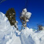 2/11 除雪後の歩道