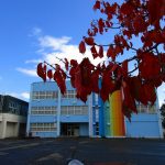 元小学校と桜紅葉