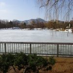 池は一面の氷